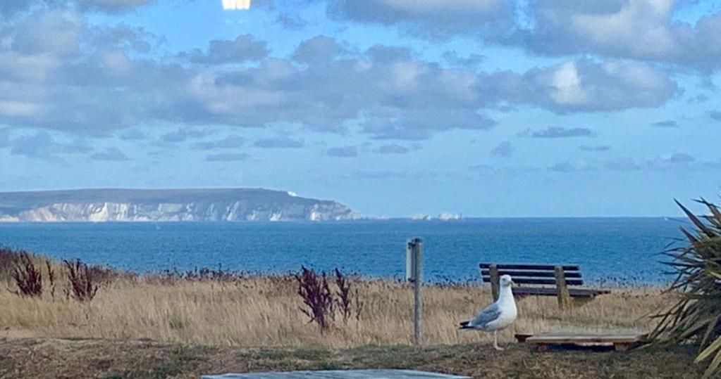 Shorefield Country Park, Where The New Forest Meets The Sea Hotel Milford on Sea Buitenkant foto