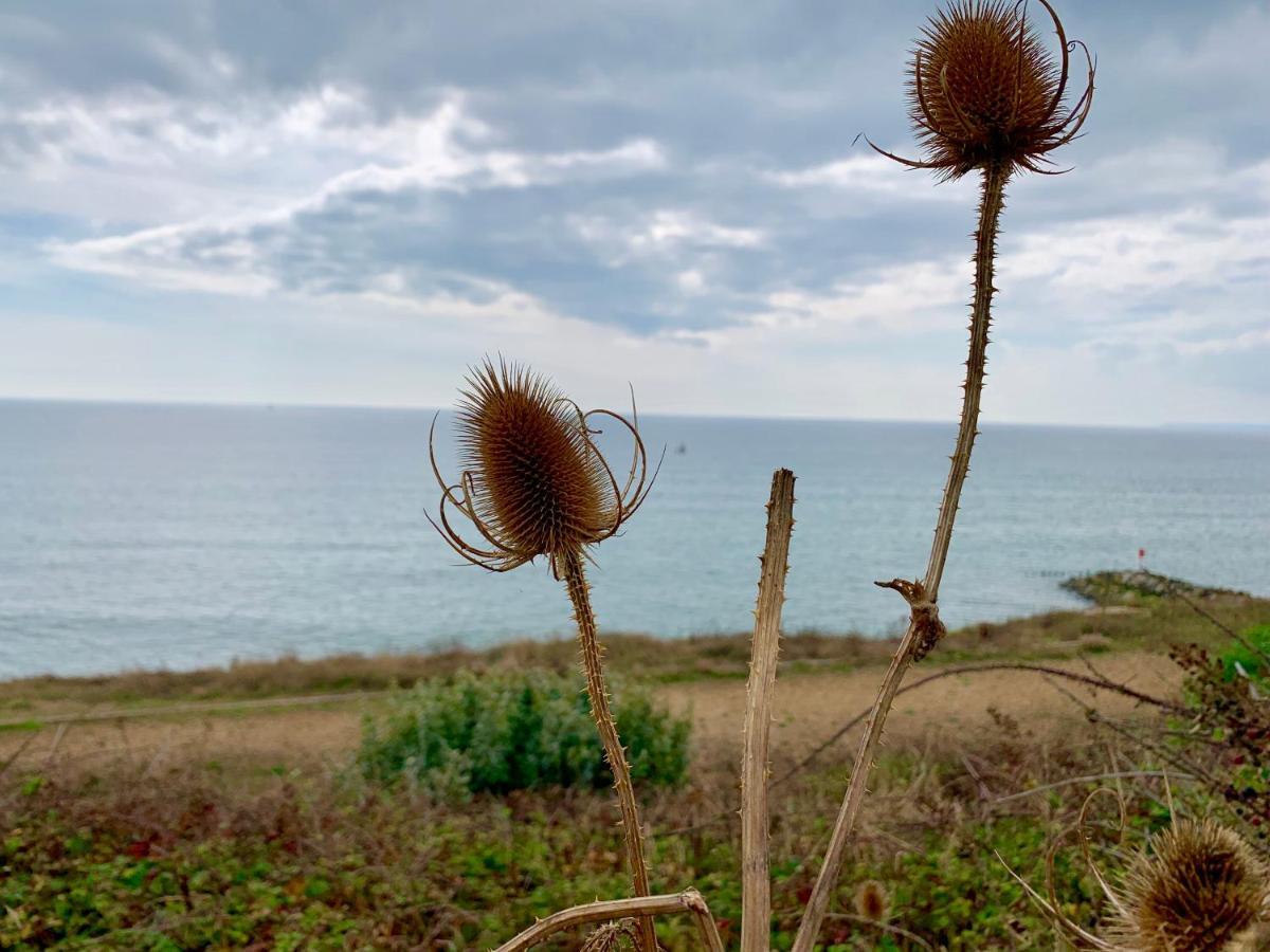 Shorefield Country Park, Where The New Forest Meets The Sea Hotel Milford on Sea Buitenkant foto