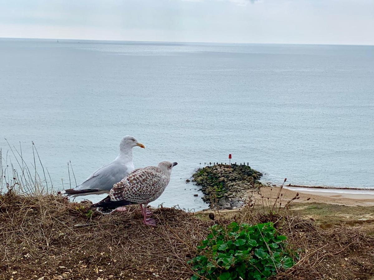 Shorefield Country Park, Where The New Forest Meets The Sea Hotel Milford on Sea Buitenkant foto