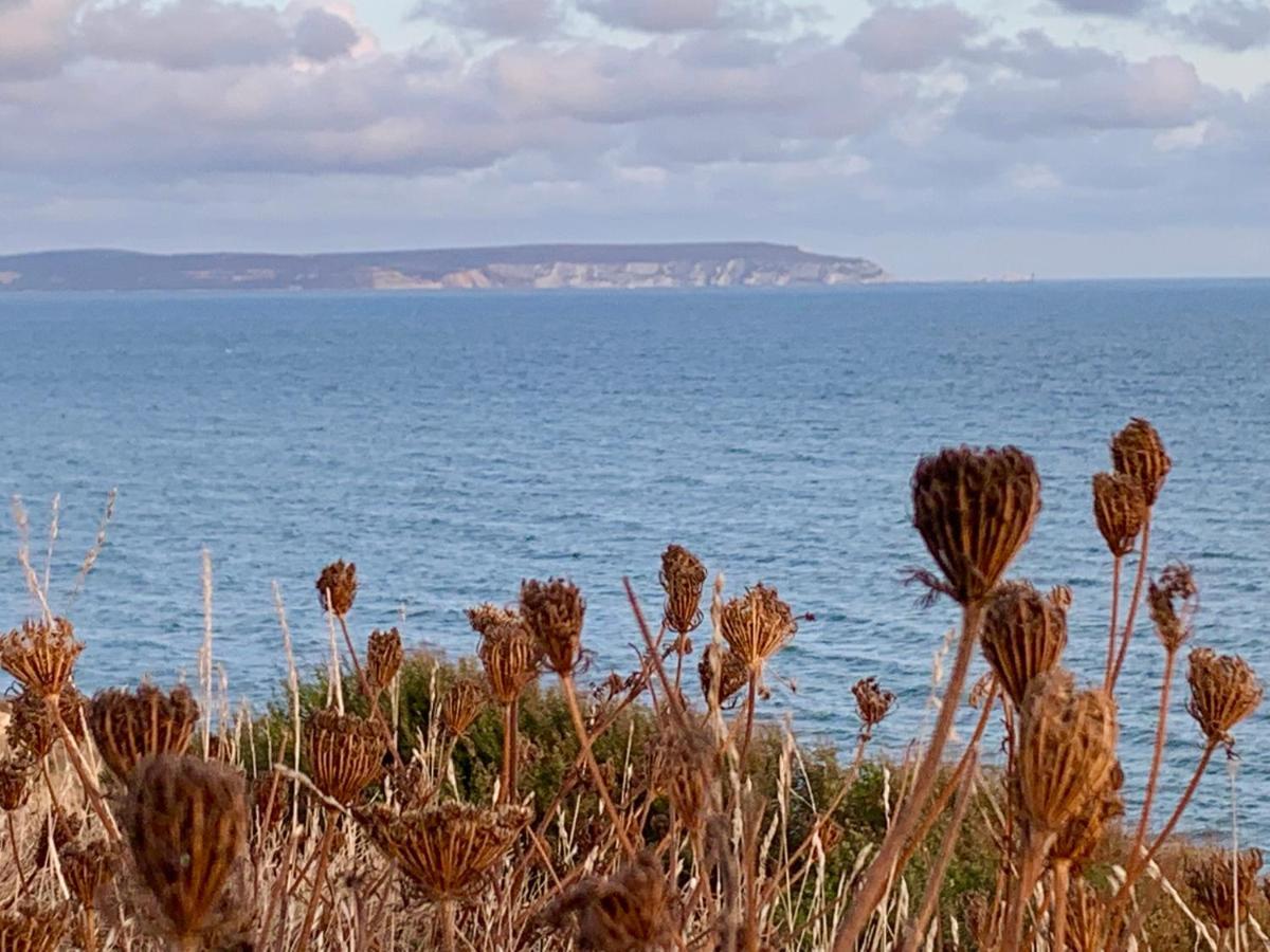 Shorefield Country Park, Where The New Forest Meets The Sea Hotel Milford on Sea Buitenkant foto