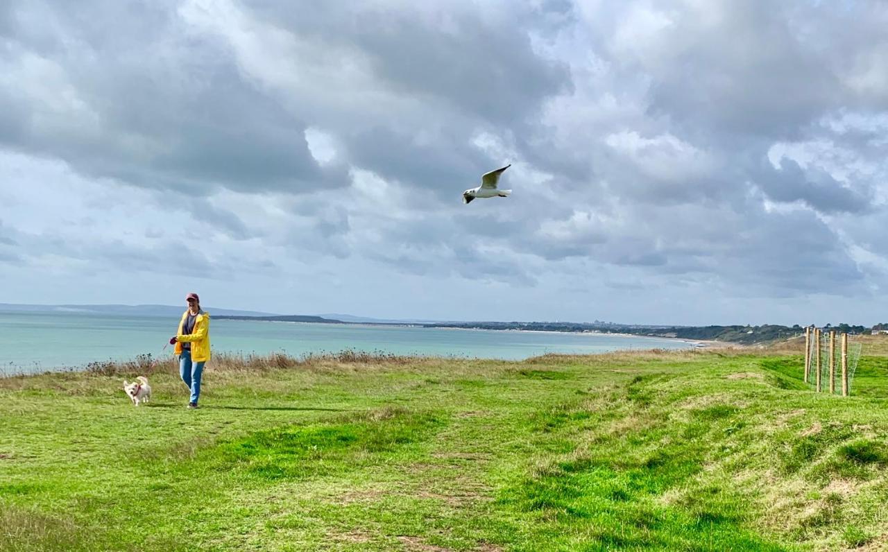 Shorefield Country Park, Where The New Forest Meets The Sea Hotel Milford on Sea Buitenkant foto