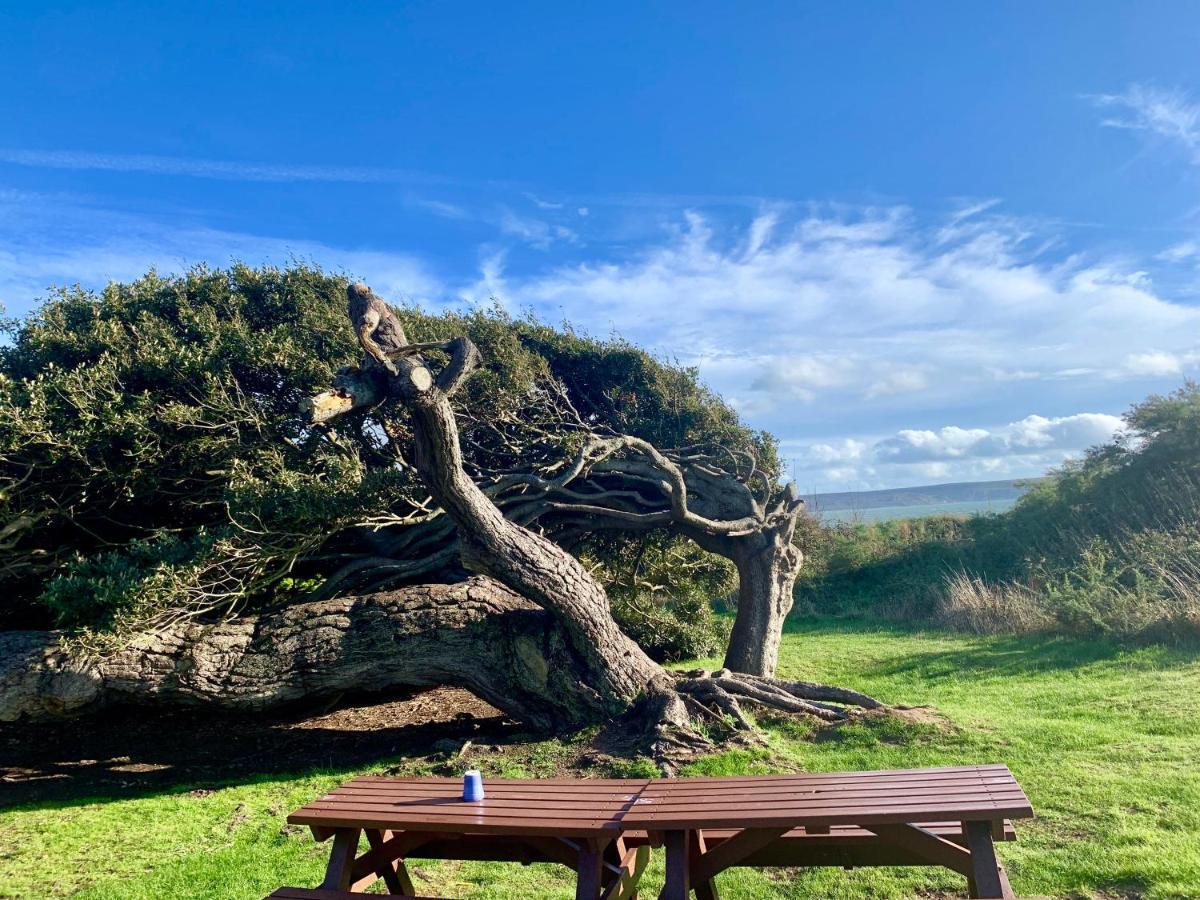 Shorefield Country Park, Where The New Forest Meets The Sea Hotel Milford on Sea Buitenkant foto